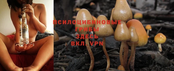 прущие крисы Бородино