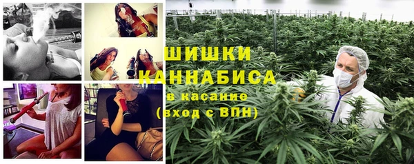 прущие крисы Бородино