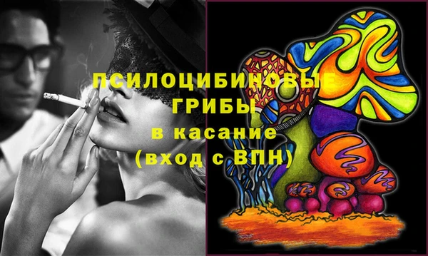 прущие крисы Бородино