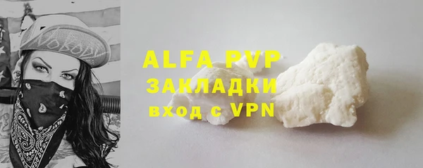 прущие крисы Бородино