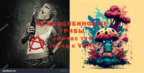 прущие крисы Бородино