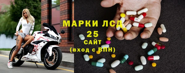 прущие крисы Бородино