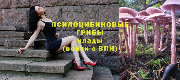 прущие крисы Бородино
