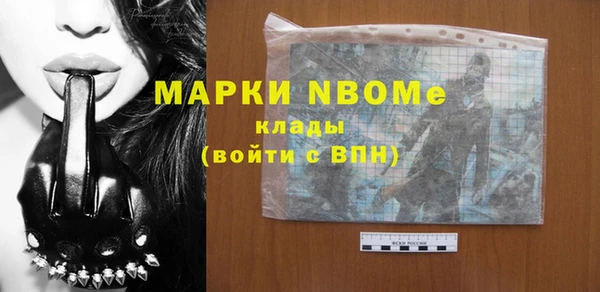 прущие крисы Бородино
