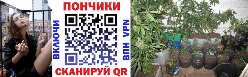 Купить Лосино-Петровский Бошки марихуана LSD WEED